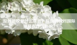 反倾销税是什么意思？反倾销税对国际贸易有什么影响？
