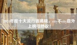 2024年度十大流行语揭晓，city不city意外上榜引热议！