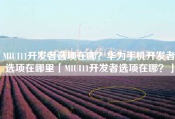 MIUI11开发者选项在哪？华为手机开发者选项在哪里「MIUI11开发者选项在哪？」
