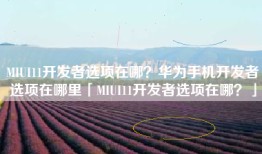 MIUI11开发者选项在哪？华为手机开发者选项在哪里「MIUI11开发者选项在哪？」