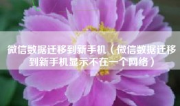 微信数据迁移到新手机（微信数据迁移到新手机显示不在一个网络）