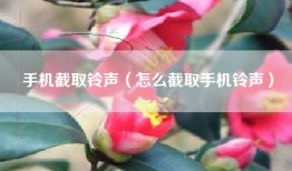 手机截取铃声（怎么截取手机铃声）