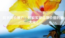 脸书竞价推广：轻松实现品牌价值的最大化！