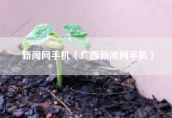 新闻网手机（广西新闻网手机）