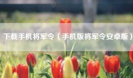 下载手机将军令（手机版将军令安卓版）