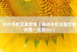 移动手机流量套餐（移动手机流量套餐资费一览表2023）