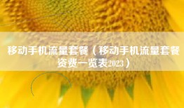 移动手机流量套餐（移动手机流量套餐资费一览表2023）