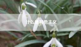 什么是利他主义