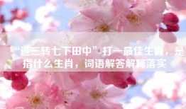 “过三转七下田中”打一最佳生肖，是指什么生肖，词语解答解释落实