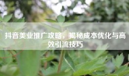抖音美业推广攻略，揭秘成本优化与高效引流技巧