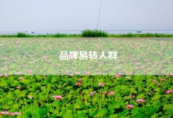品牌易转人群
