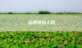 品牌易转人群