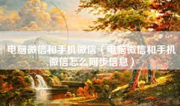 电脑微信和手机微信（电脑微信和手机微信怎么同步信息）