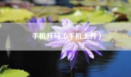 手机开马（手机上开）