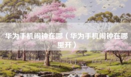 华为手机闹钟在哪（华为手机闹钟在哪里开）