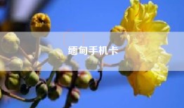 缅甸手机卡