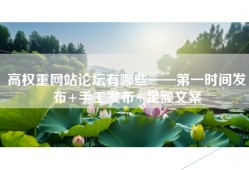 高权重网站论坛有哪些——第一时间发布+手工发布+足额文案