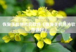 恢复手机照片的软件（恢复手机照片软件最好）