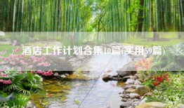 酒店工作计划合集10篇(实用59篇)