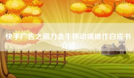 快手广告之磁力金牛移动端操作白皮书介绍