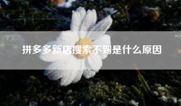 拼多多新店搜索不到是什么原因