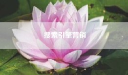 搜索引擎营销
