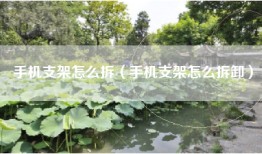 手机支架怎么拆（手机支架怎么拆卸）