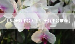 手机任务平台（手机任务平台推荐）