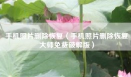 手机照片删除恢复（手机照片删除恢复大师免费破解版）