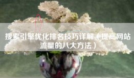 搜索引擎优化排名技巧详解（提高网站流量的八大方法）