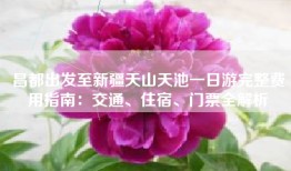 昌都出发至新疆天山天池一日游完整费用指南：交通、住宿、门票全解析