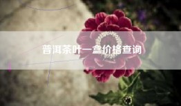 普洱茶叶一盒价格查询
