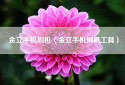 金立手机刷机（金立手机刷机工具）
