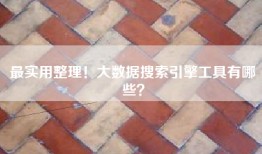 最实用整理！大数据搜索引擎工具有哪些？