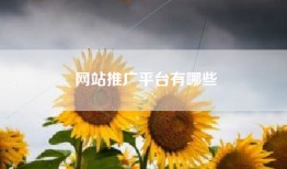 网站推广平台有哪些