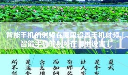 智能手机的射频在哪里设置手机射频「智能手机的射频在哪里设置」