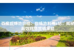 百度蜘蛛池价格：蜘蛛池利用K站，揭秘高效网络营销策略