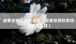 诺基亚微软系统手机（诺基亚微软系统手机怎么样）