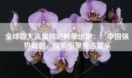 全球百大流量网站榜单出炉：：中国强势崛起，搜索引擎独占鳌头