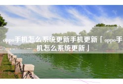 oppo手机怎么系统更新手机更新「oppo手机怎么系统更新」