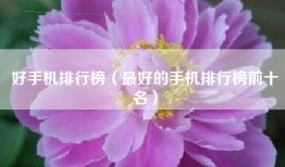 好手机排行榜（最好的手机排行榜前十名）
