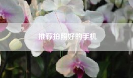 推荐拍照好的手机