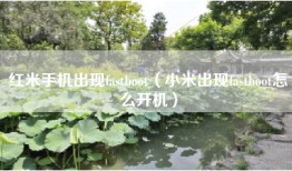 红米手机出现fastboot（小米出现fastboot怎么开机）
