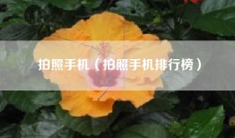 拍照手机（拍照手机排行榜）