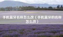 手机蓝牙名称怎么改（手机蓝牙的名称怎么改）