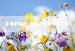 手机解码器（手机解码器软件下载）