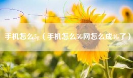 手机怎么5g（手机怎么5G网怎么成4G了）