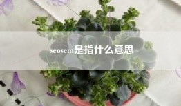 seosem是指什么意思