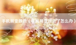 手机屏变颜色（手机屏变颜色了怎么办）