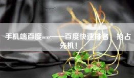 手机端百度seo——百度快速排名，抢占先机！